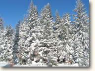 Ski Auvergne Montagne Ardèchoise